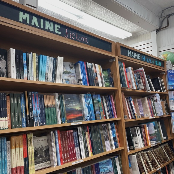 Meet your Posher, Daisy - Picture 4 of 7